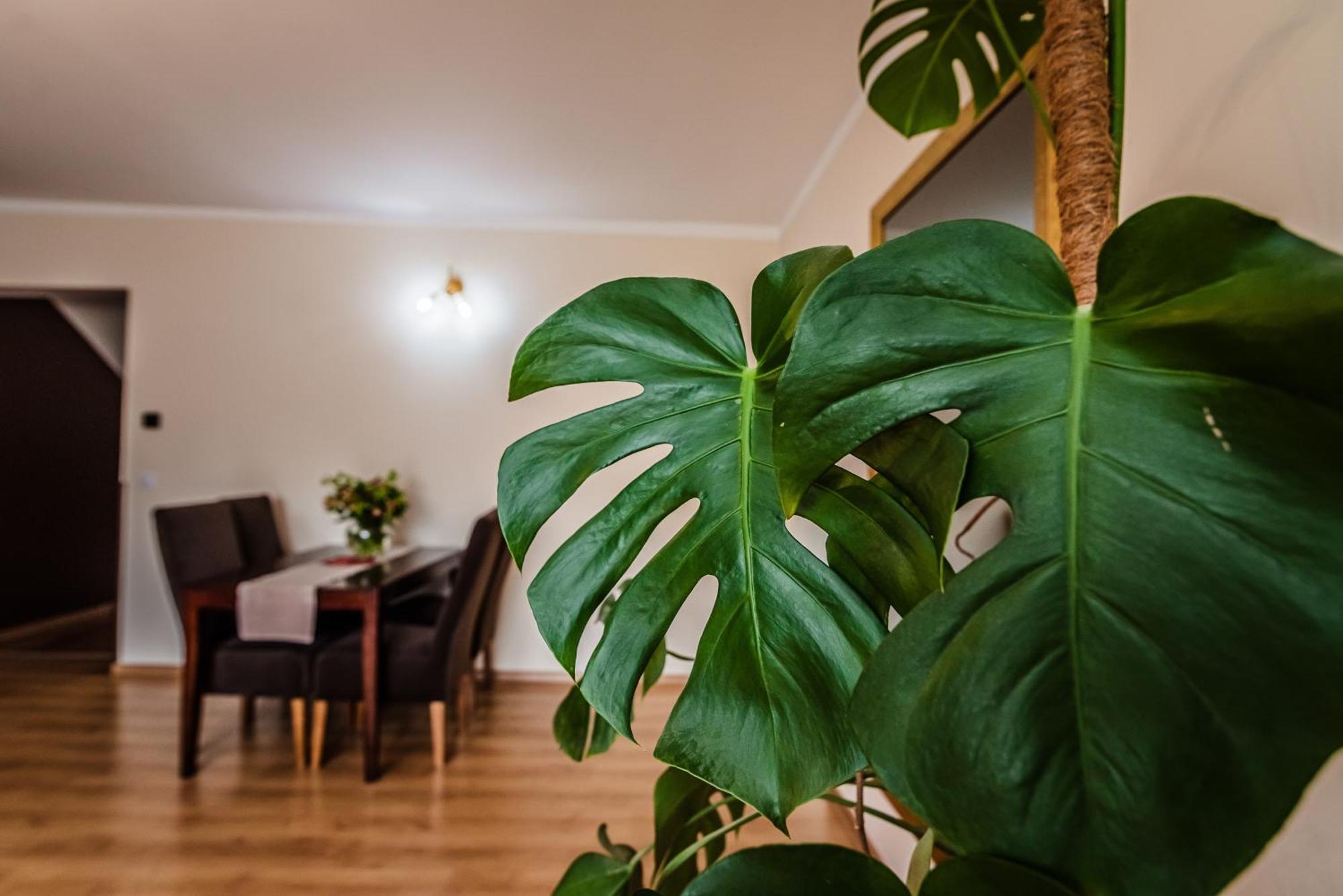 Apartamenty Widok シュツァブニツァ エクステリア 写真