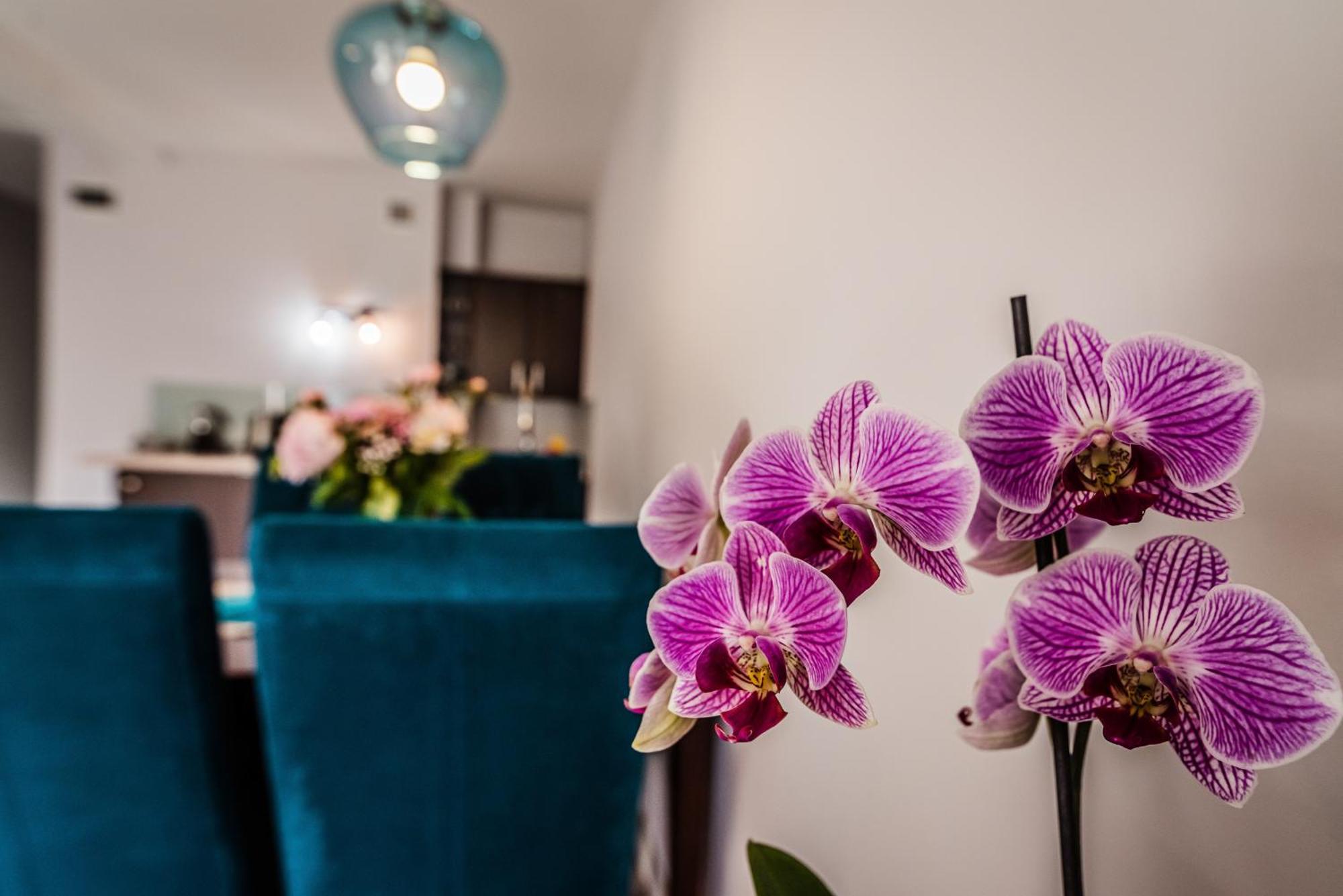 Apartamenty Widok シュツァブニツァ エクステリア 写真